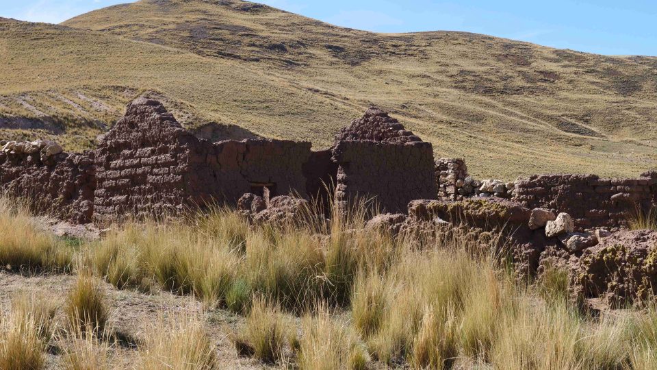 Altiplano – cestou na Titicacu