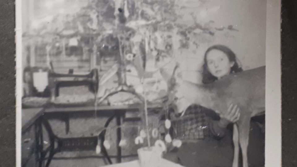 Fotografie z dětství Oldřicha Tripese se srnkou Kájou