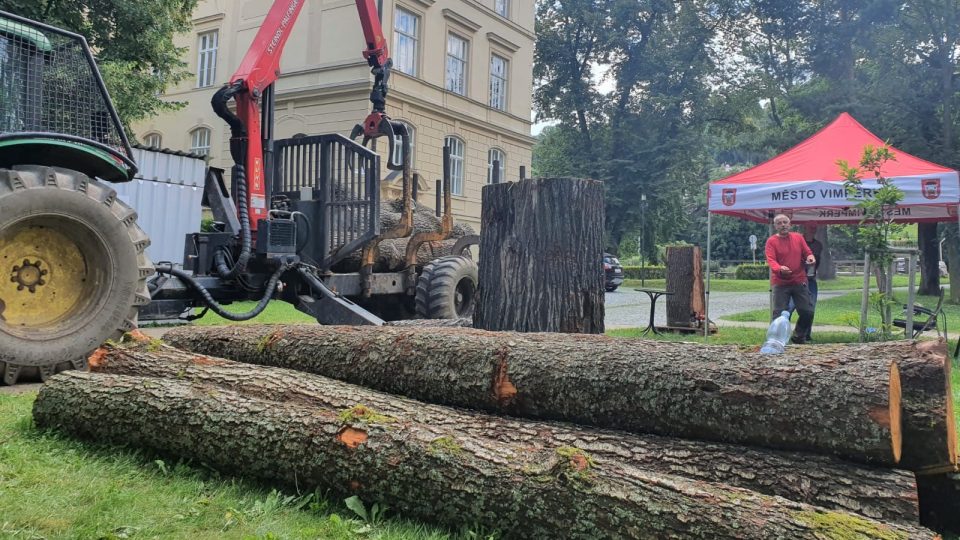 Dřevosochaři se opět sešli v městském parku ve Vimperku, kde vytvoří další sochy pro město