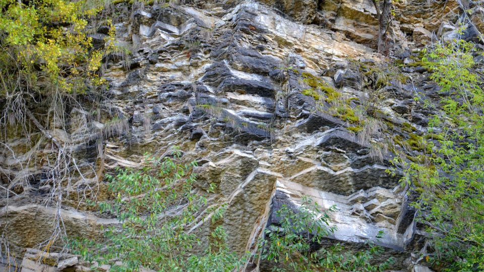 Národní přírodní památka Požáry vás vrátí o 420 milionů let zpátky