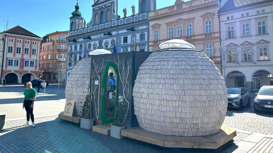 Unikátní autonomní dům Samorost, který architekti vyrobili částečně ze směsi dřeva a podhoubí | foto: Michal Bělský, Český rozhlas Unikátní autonomní dům Samorost, který architekti vyrobili částečně ze směsi dřeva a podhoubí