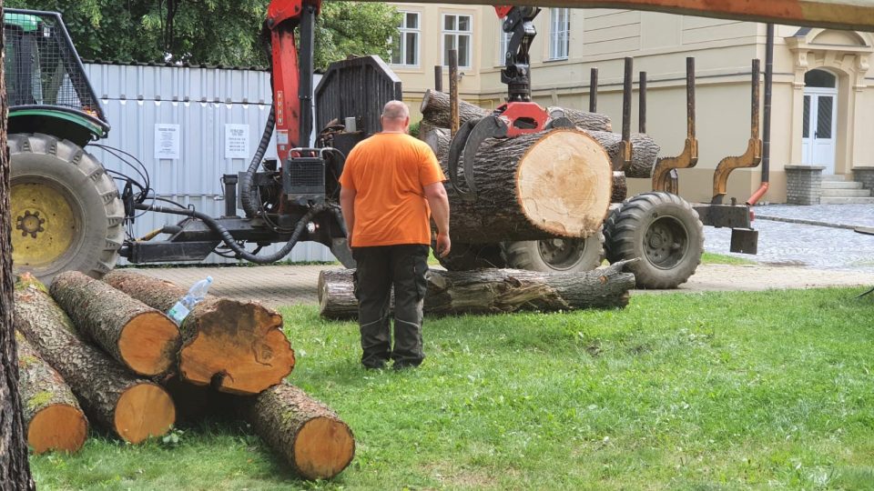 Dřevosochaři se opět sešli v městském parku ve Vimperku, kde vytvoří další sochy pro město