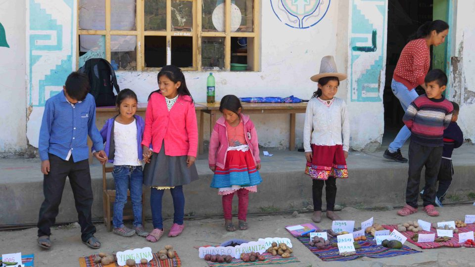 Pavel Chlouba navštívil malou vesnickou školu v Peru. Děti mu tu vyprávěly o bramborách a dalších plodinách, které pěstují jejich rodiny