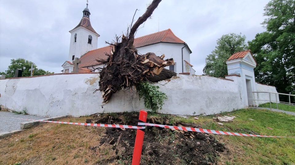 Následky bouřky v Pištíně na Českobudějovicku. Vítr shodil lípu na hřbitov, poškozených je několik hrobů