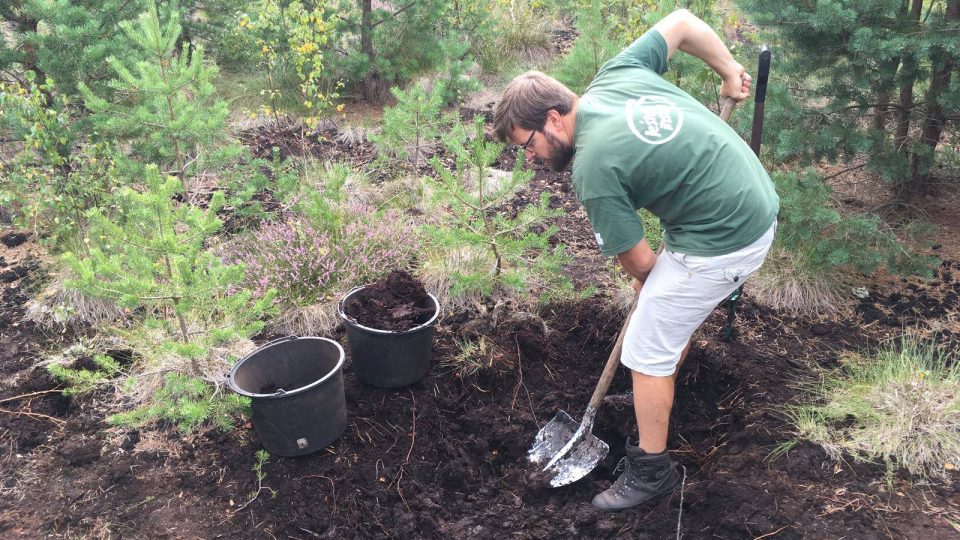 Dobrovolníci obnovují mokřady na Soumarském rašeliništi v Národním parku Šumava