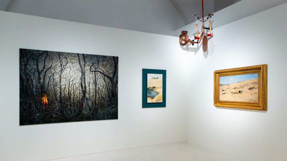 Výstava Belvedere na Hluboké – Let It Grow Again v Alšově jihočeské galerii
