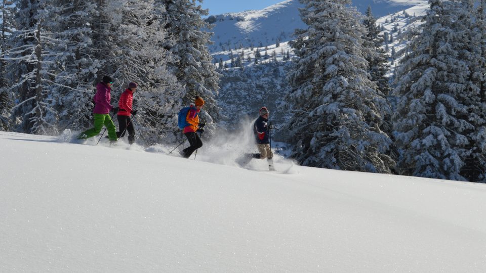 V alpském údolí Almtal v rakouském regionu Waldnesspořádají túry, při nichž se lidé učí chodit po sněžnicích i jódlovat