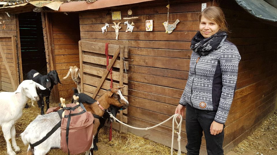 Veronika Hlávková na kozí farmě