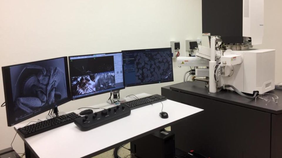 Nejnovější elektronový mikroskop za více než 15 milionů korun používají vědci v Českých Budějovicích, nabízí jim široký rozsah zvětšení třeba při pohledu na klíšťata