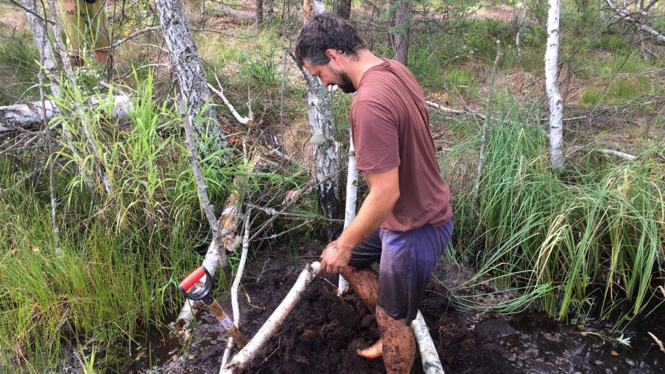 Dobrovolníci obnovují mokřady na Soumarském rašeliništi v Národním parku Šumava