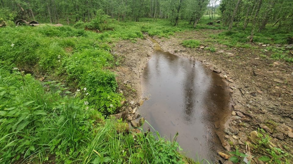 Obnovený potok na Šumavě