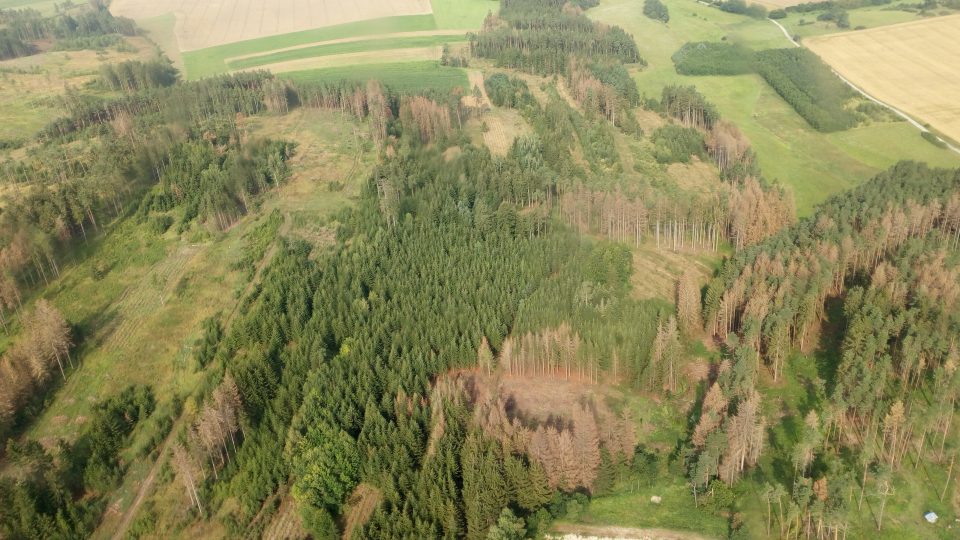Při leteckém monitoringu lesníci a ochranáři zjišťovali, jak vypadají lesy v lokalitách, kde se vyskytuje kůrovec