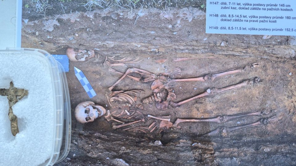 Uložení lidských ostatků, které byly nalezeny u kostela v Kardašově Řečici, do společného hrobu na městském hřbitově