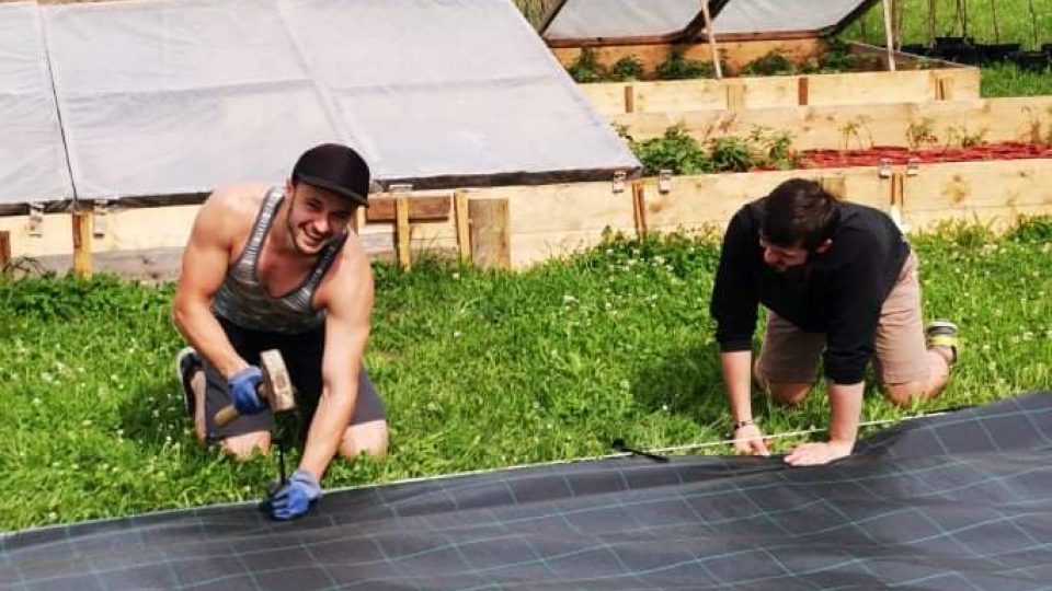 Dobrovolníci v rámci projektu Summer Job pracovali na čtyřech místech jižních Čech