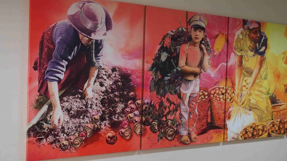 Mezinárodní středisko brambor v Limě, výzdoba vstupní haly