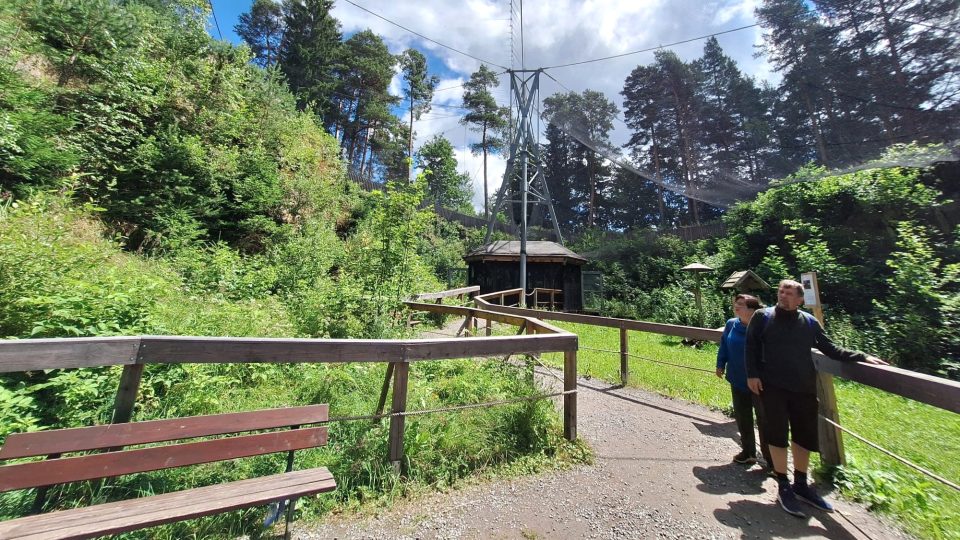 Soví voliéry v Borových Ladech na Šumavě