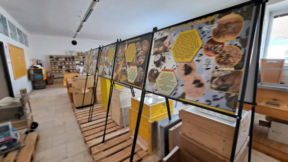 Apicentrum v Protivíně přibližuje život včel a práci včelařů