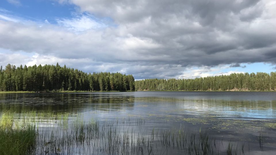 Jezero Bellviksjön ve švédském Laponsku je pro rybáře malebnou a čitelnou lokalitou