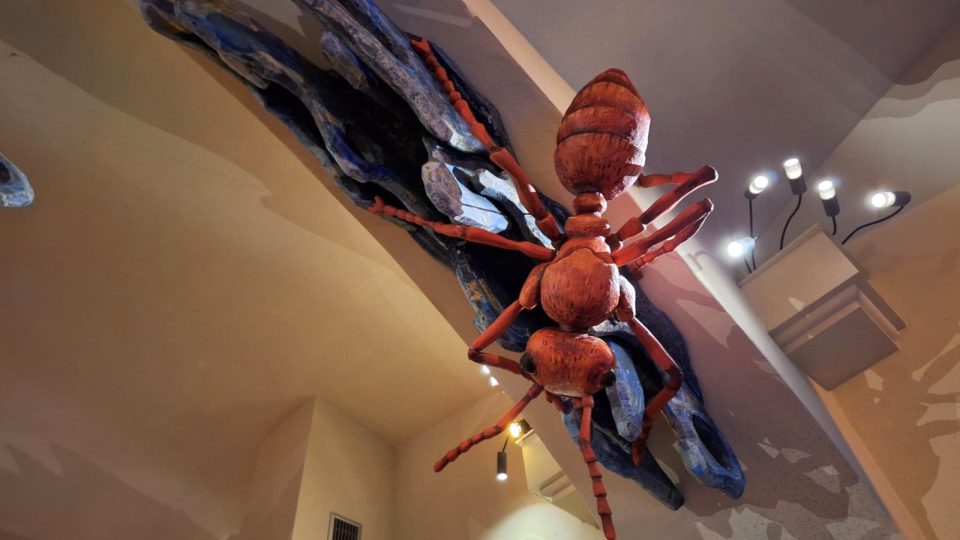 Expozice Mraveniště v galerii Sladovna v Písku