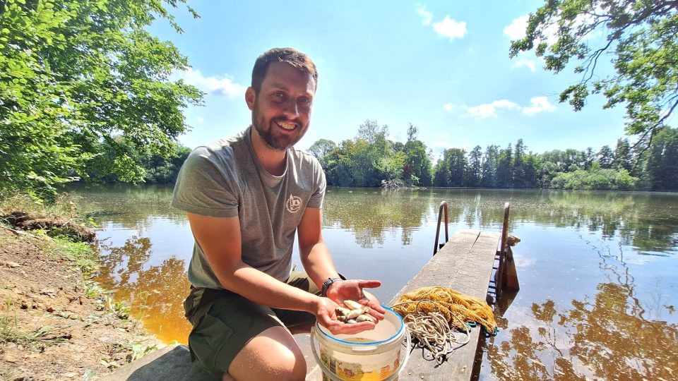 Šéf vodňanských rybářů Miloslav Vaněček kontroluje kapří násadu | foto: Kristýna Barchini, Český rozhlas Šéf vodňanských rybářů Miloslav Vaněček kontroluje kapří násadu