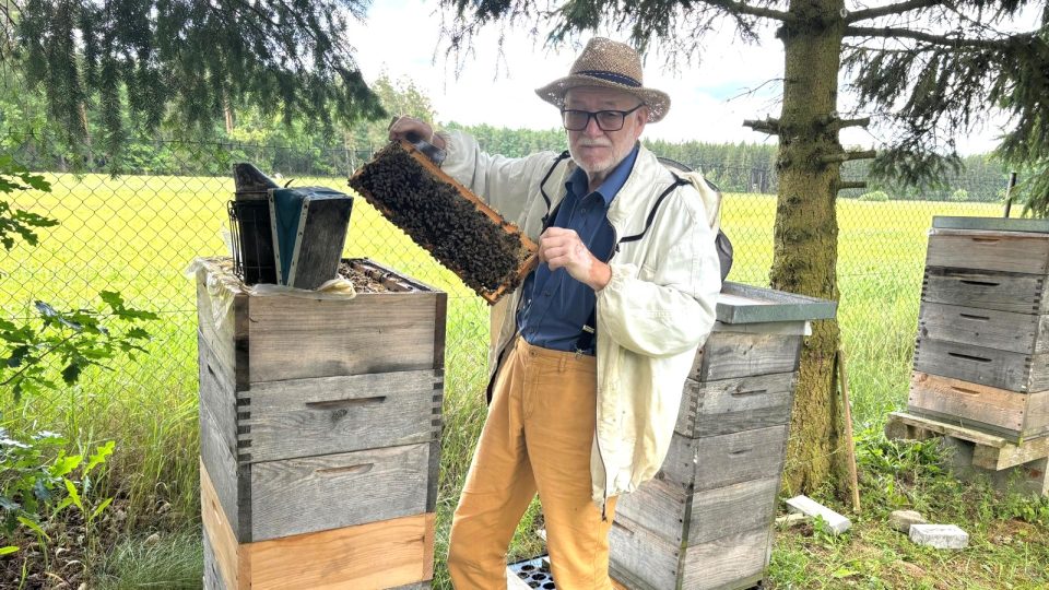 Včelař Petr Texl kontroluje včelstvo