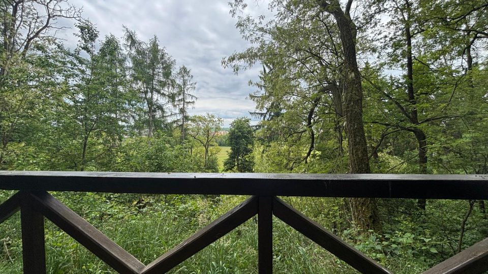 Jedna z vyhlídek v lespoarku | foto: Pavel Halla, Český rozhlas Jedna z vyhlídek v lespoarku