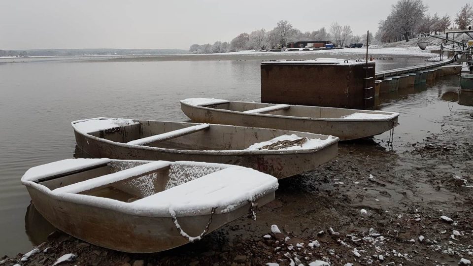 Už zimní počasí provází výlov rybníka Svět na Třeboňsku