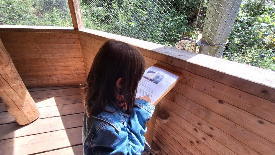 Soví voliéry v Borových Ladech na Šumavě