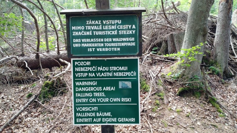 Pohyb v okolí pralesa má svá pravidla