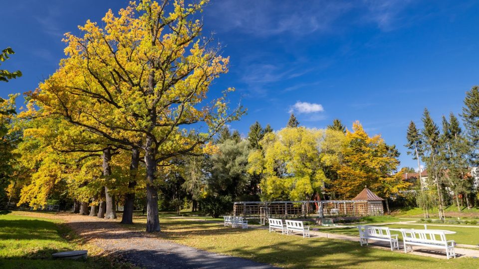 Kumpánovu zahradu zdobí i vzrostlé stromy.jpg