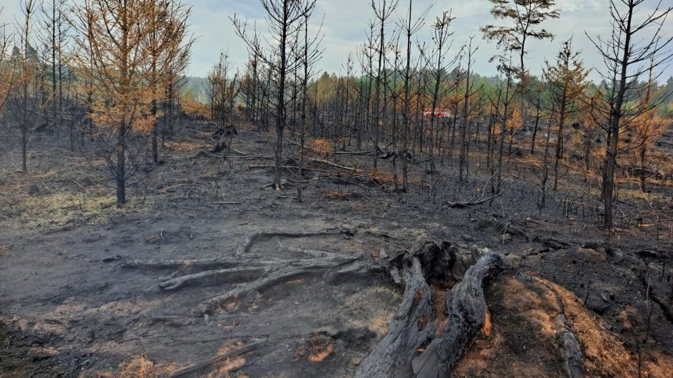 Dohašování požáru v Jetěticích na Písecku, oheň tu spálil 40 hektarů lesa