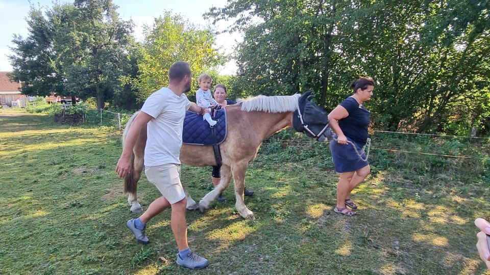 Centrum zooterapie buduje v Domaníně u Třeboně sdružení Hafík