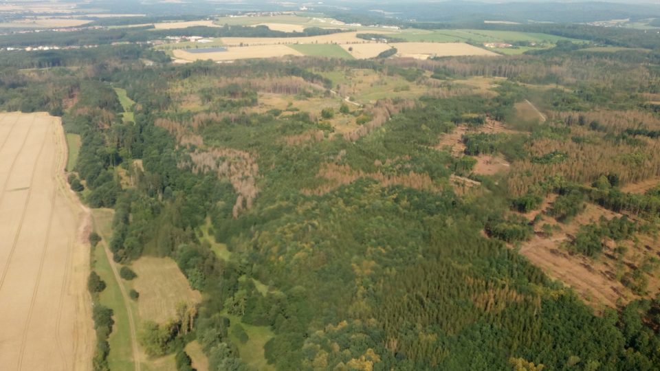 Při leteckém monitoringu lesníci a ochranáři zjišťovali, jak vypadají lesy v lokalitách, kde se vyskytuje kůrovec