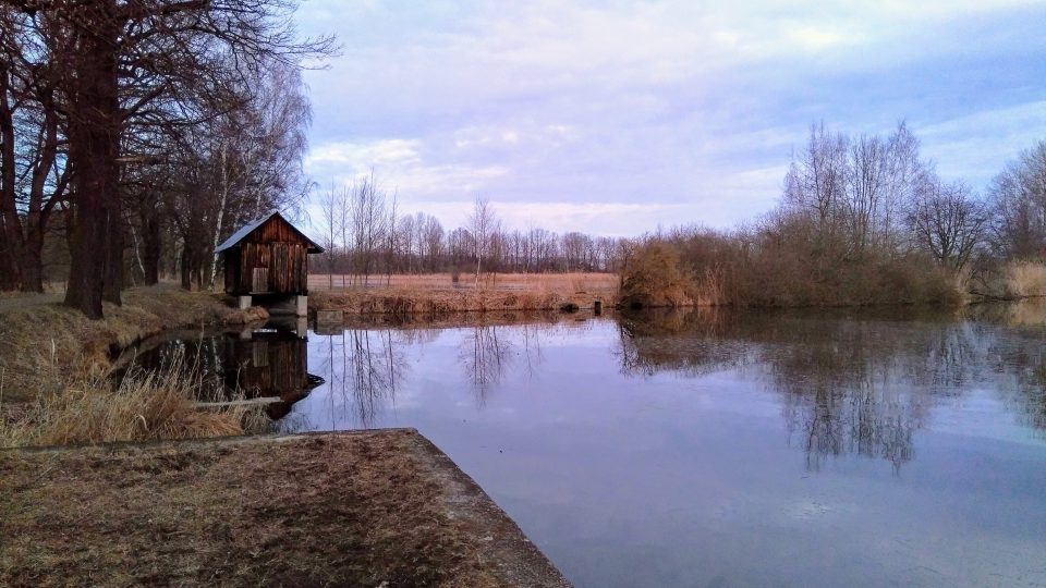 Vrbenské rybníky u Českých Budějovic
