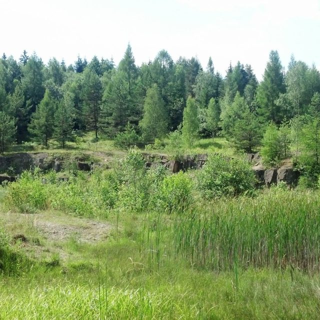 Lom Rasová nedaleko Komni | foto: Tomáš Fránek,  Český rozhlas