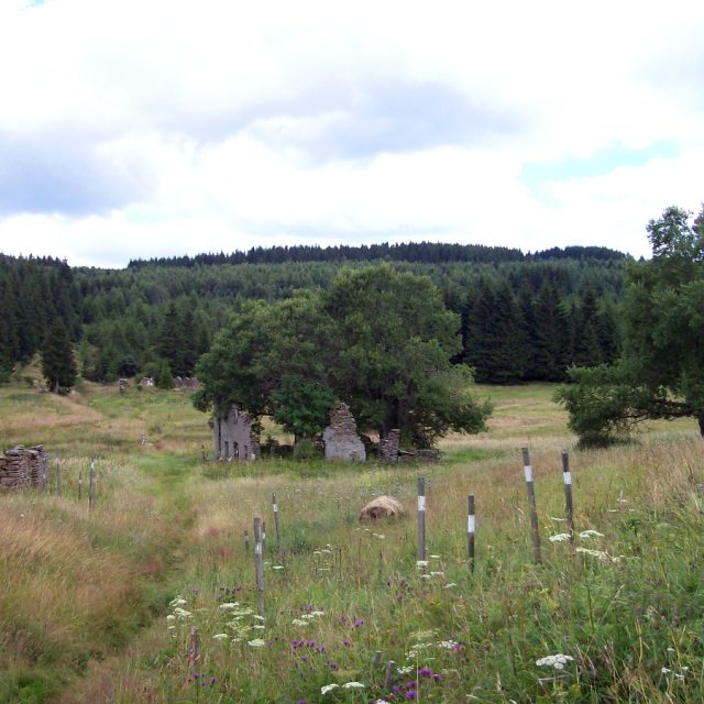 Zbytky domů | foto: Stanislava Brádlová,  Český rozhlas