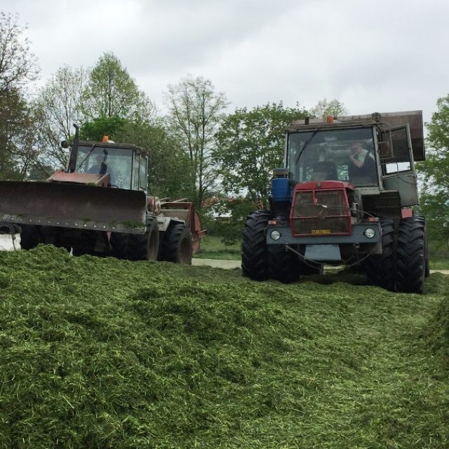 Zemědělství,  traktor,  silážní jáma,  píce,  pícniny | foto: Jitka Cibulová Vokatá,  Český rozhlas