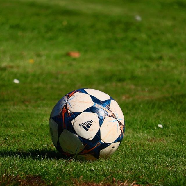 Ilustrační foto | foto: CC0 Public domain