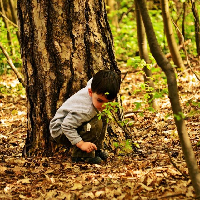 Ilustrační foto | foto: Fotobanka Pixabay