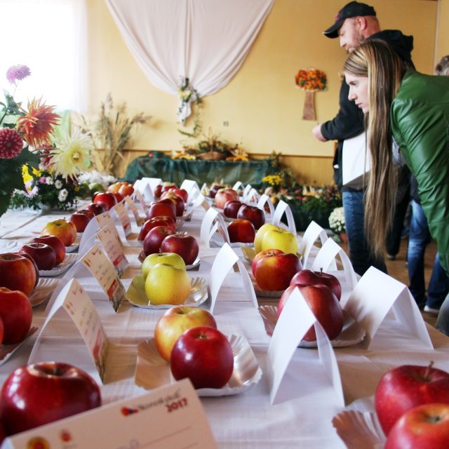 Slavnosti plodů v Krtelích | foto: Andrea Poláková,  Český rozhlas