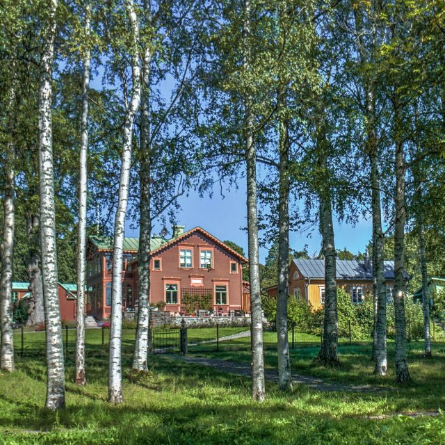 Ilustrační foto | foto: Licence Public domain CC0,  Fotobanka Pixabay