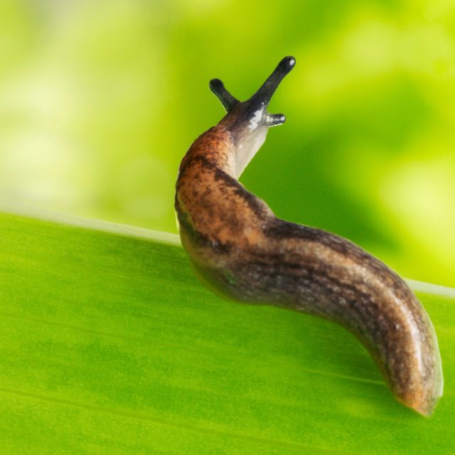 Ilustrační foto | foto: Profimedia