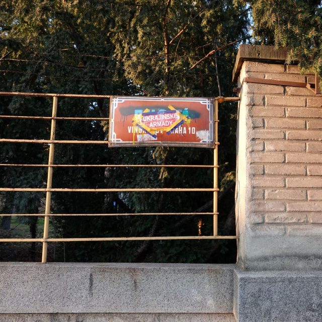 Ilustrační foto | foto: Shutterstock