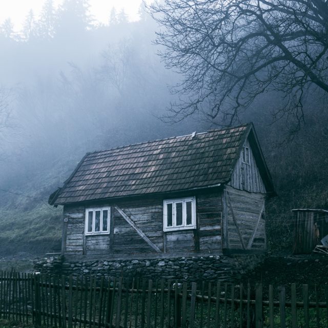 Ilustrační foto | foto: Shutterstock