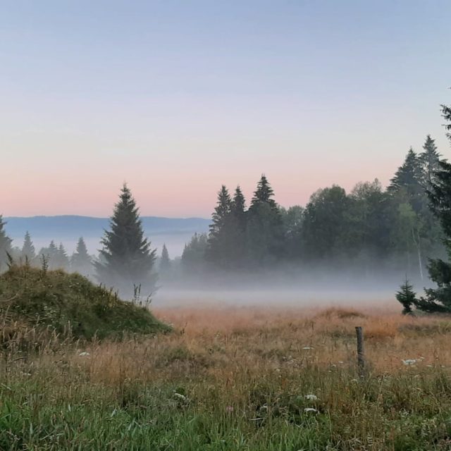 Ilustrační foto | foto: Jan Markup,  Český rozhlas