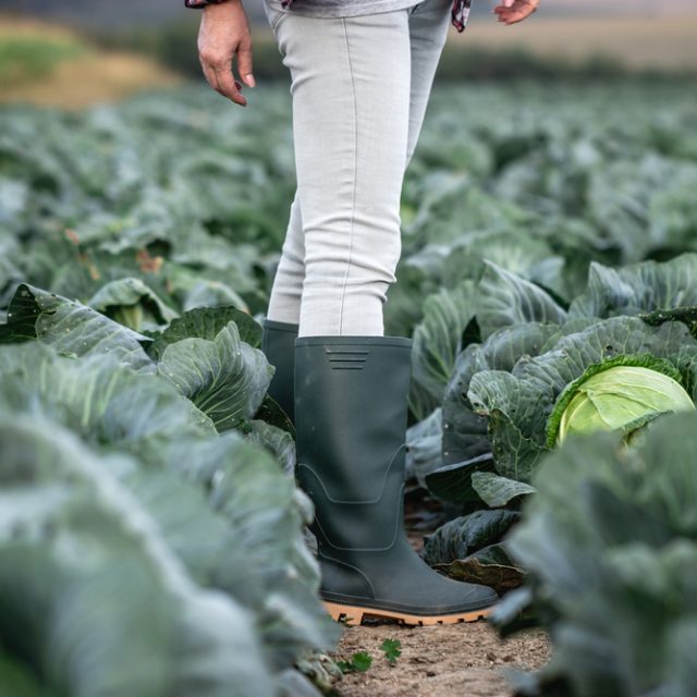 Ilustrační foto | foto: Shutterstock