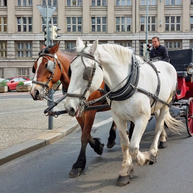 Ilustrační foto | foto: Klára Škodová,  Český rozhlas