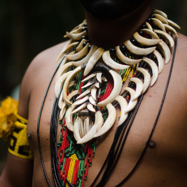 Ilustrační foto | foto: Shutterstock