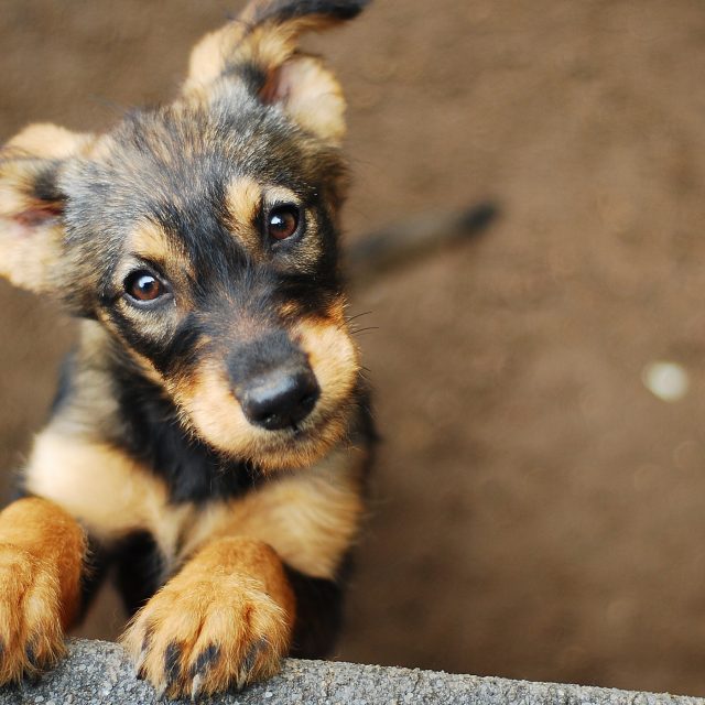 Ilustrační foto | foto: Shutterstock