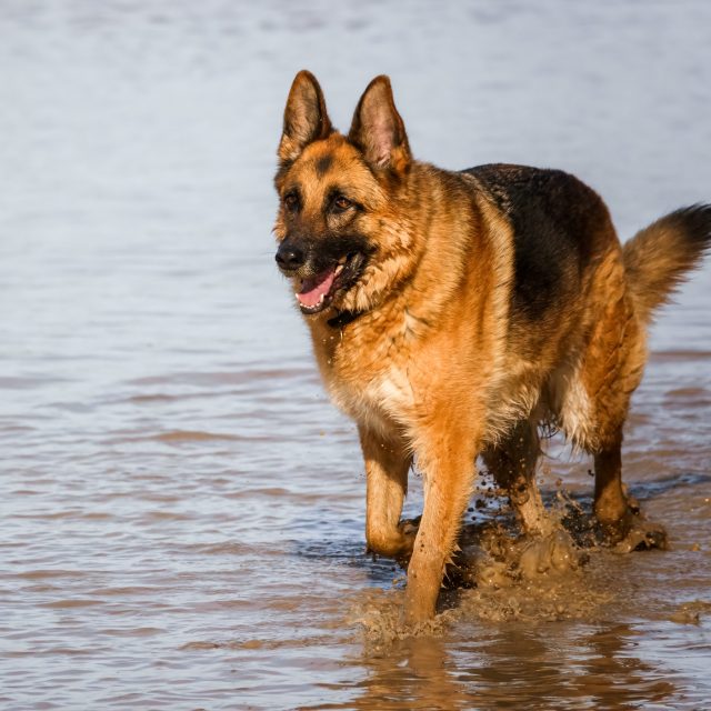 Ilustrační foto | foto: Shutterstock